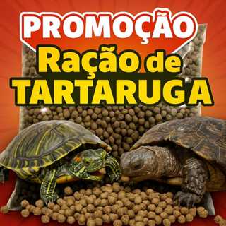Ração Nutritiva para Tartarugas, Jabutis, Peixes e Répteis – Alimentação Completa e Saudável em Oferta na Shopee