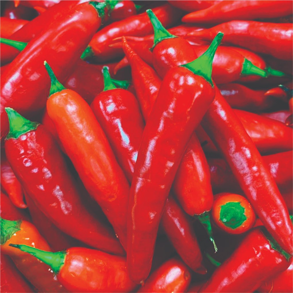 Semente Pimenta Dedo de Moça em Oferta na Shopee