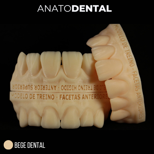 KIT MODELO DE TREINO - ANATOMIA VESTIBULAR EM DENTES ANTERIORES | ANATOMIA DENTAL