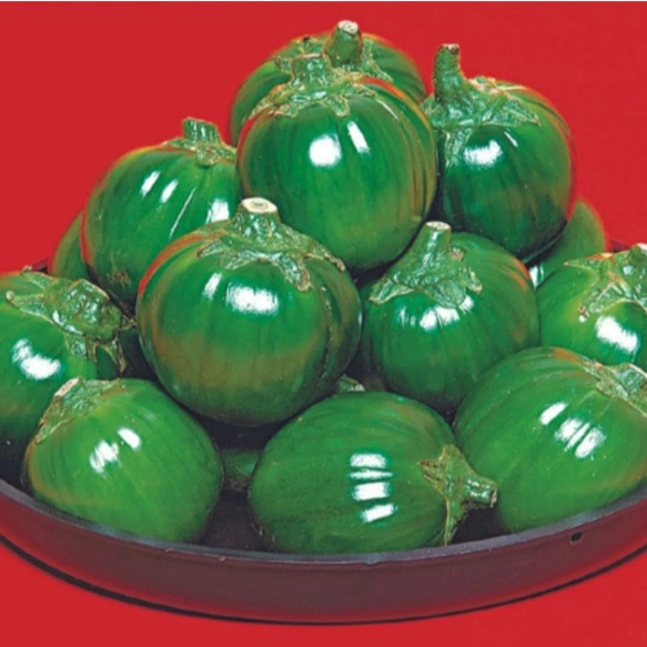 Sementes de Jiló Redondo 400g em Oferta na Shopee