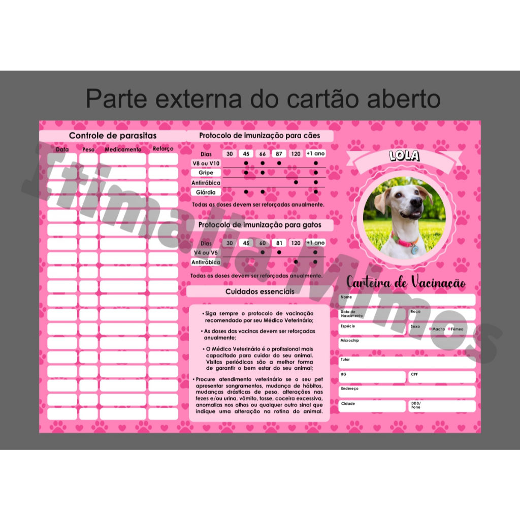 Carteira de Vacinação Personalizada com Foto em Oferta na Shopee