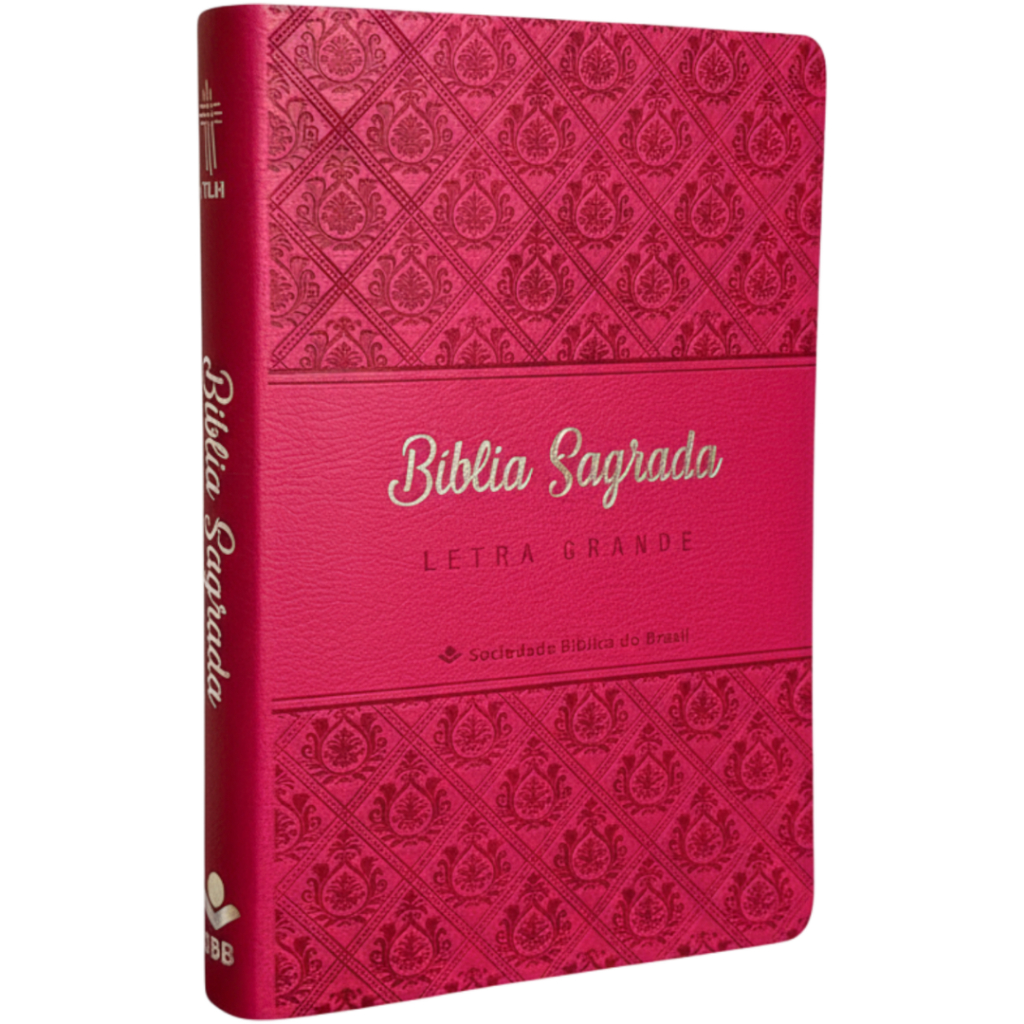 Bíblia Feminina Ntlh Grande: Onde Comprar | BuscaProdutos