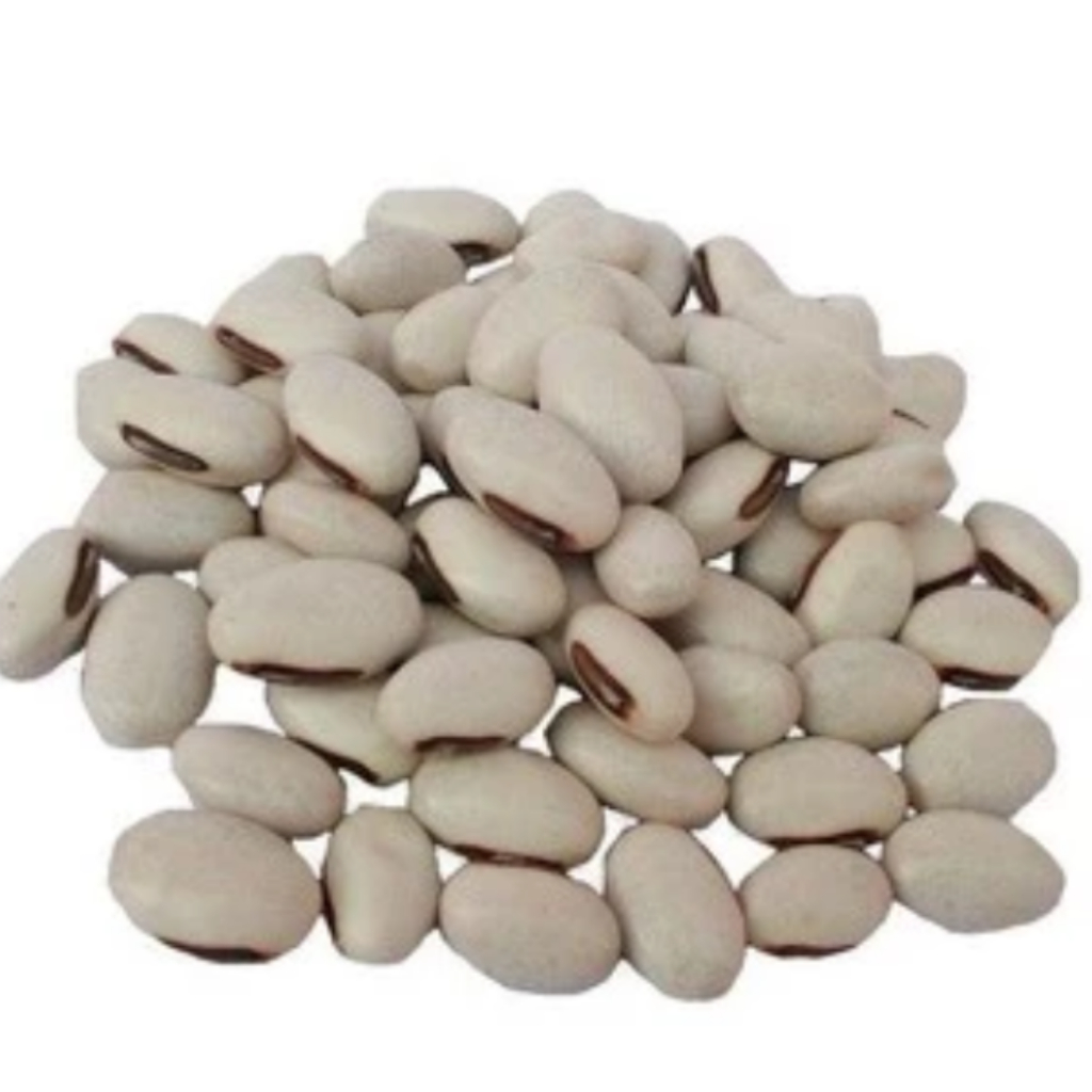 Fava de Oxalá - KIT COM 3 Unidades - Umbanda - Candomblé - Rituais - Magias
