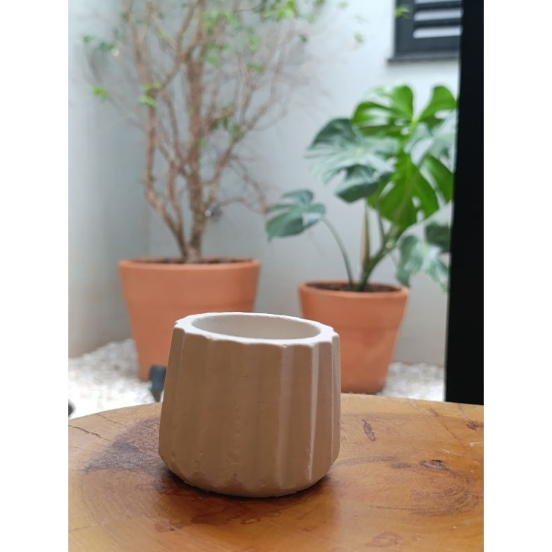 Kit 8 Unidades Vaso Decorativo de Gesso Texturizado Para Suculentas, Cactus e Plantas Artificiais ou Naturais