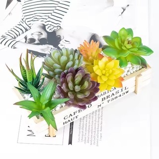 3 a 12 PCS Mini Suculentas Realistas Artificiais SORTIDAS Estilos Cores Misturados - Pequena