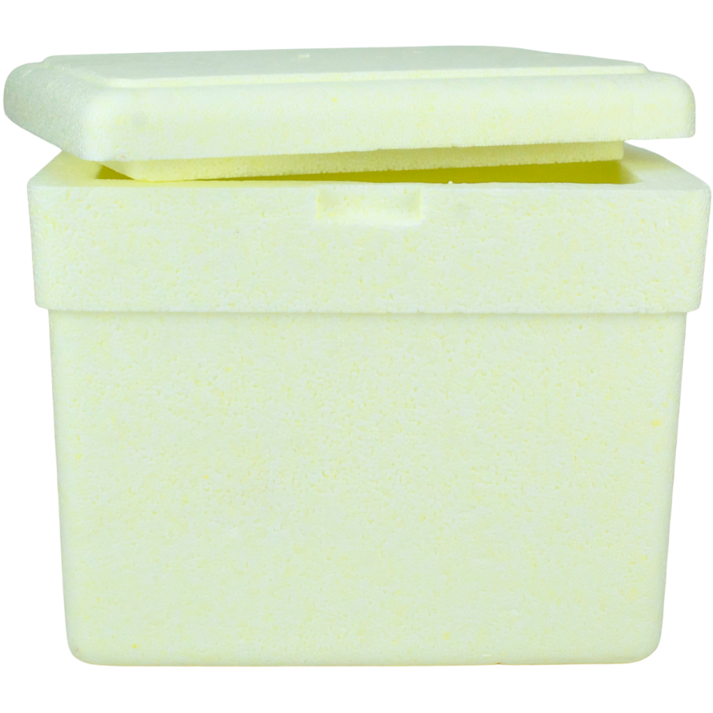 Caixa De Isopor Térmica 3 Litros Bebidas Gelo Medicamentos em Oferta na Shopee