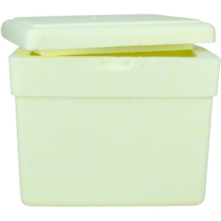 Caixa De Isopor Térmica 3 Litros Bebidas Gelo Medicamentos em Oferta na Shopee