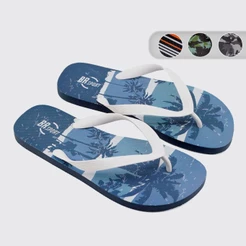 Chinelo Br Sports Tropical Masculino Dedo J2293100/201