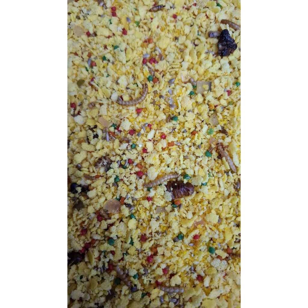 Inseto na Ração: Onde Comprar | BuscaProdutos