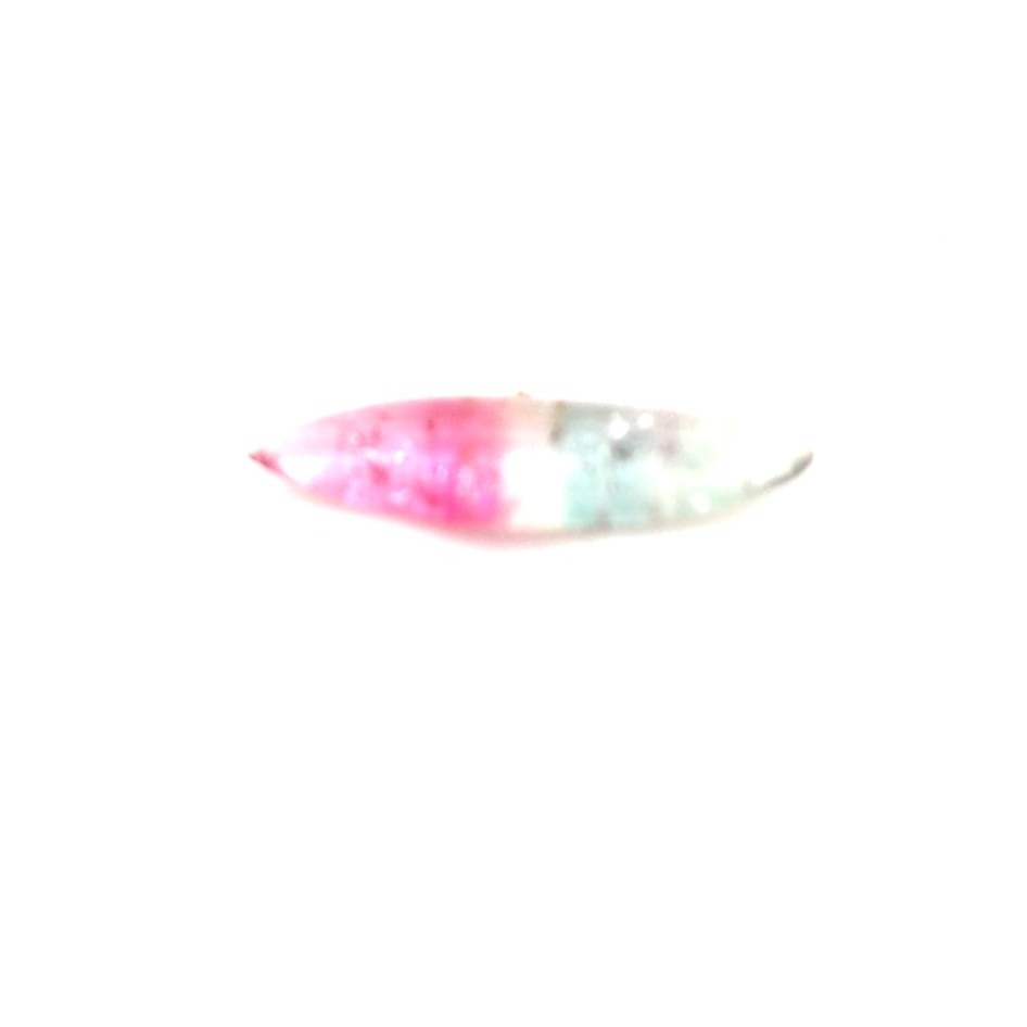 THL134 - Turmalina Bicolor - Navete - T. 12x3.5x2.0mm