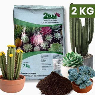 Substrato Para Cactos e Suculentas 2 Kg - Para Uso Geral Jardim Vaso Plantas e Rosa do Deserto 2Rm em Oferta na Shopee