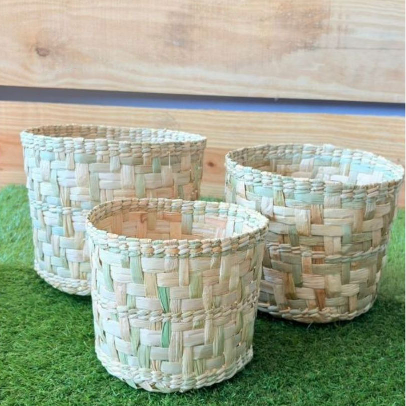 Vaso Cachepot Taboa Natural Kit 3 Peças -p/m/g em Oferta na Shopee