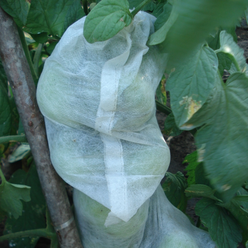 Sacos em TNT Proteção de frutas - 100 saquinhos 18 x 15 cm