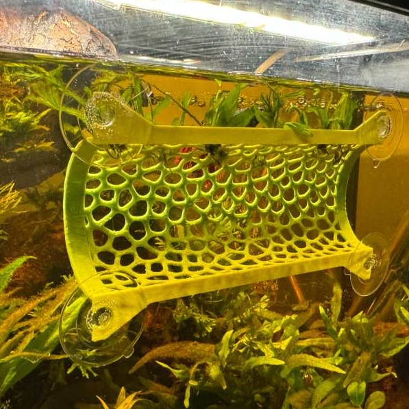 Toca Túnel de Parede para Aquário com Ventosas - Esconderijo Suspenso para Betta e Camarões em Oferta na Shopee