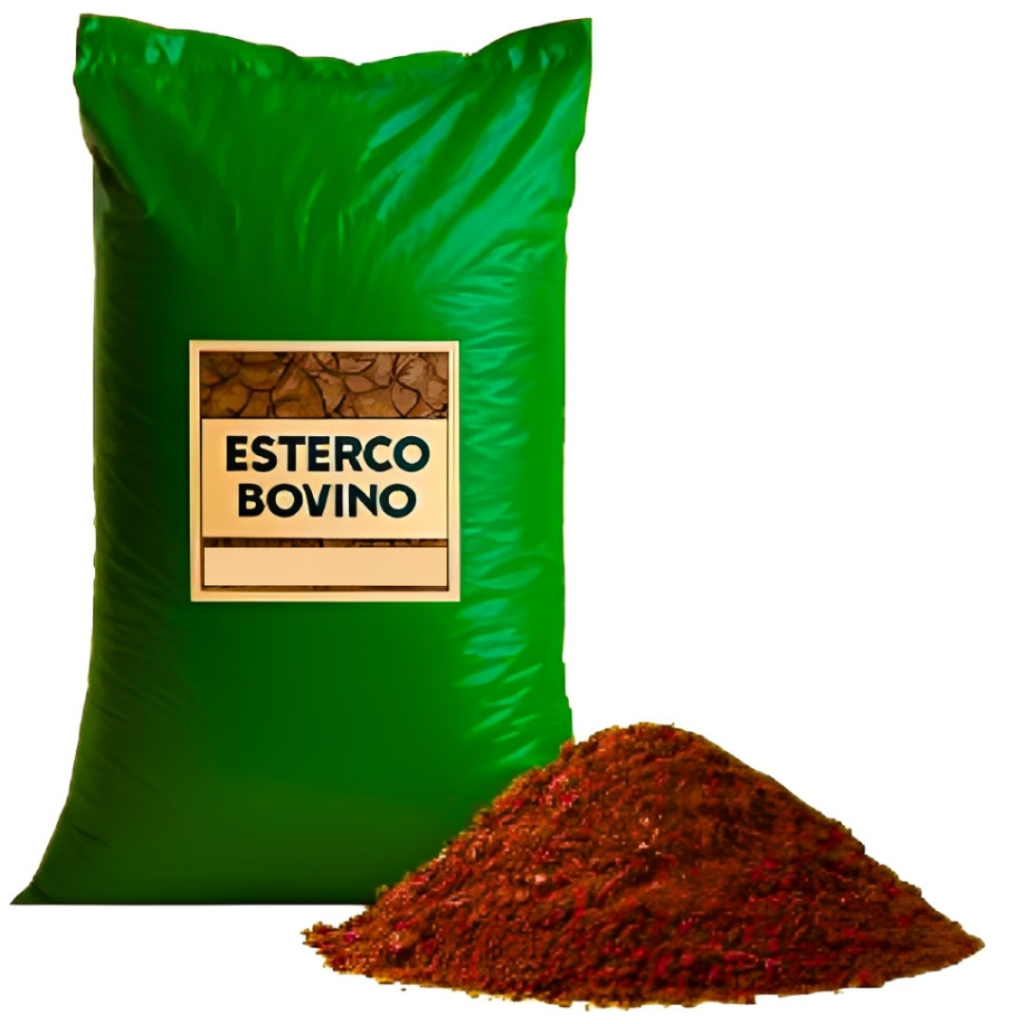 Média Boa: Guia Completo e Onde Comprar | BuscaProdutos