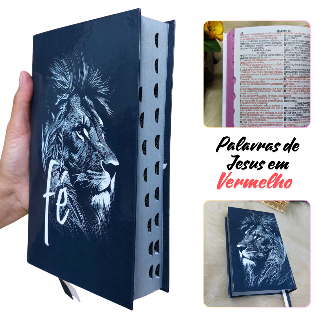 Biblia Sagrada Letra Média Jovem Harpa Cristã João Ferreira Almeida Masculina Palavras destacada em Oferta na Shopee