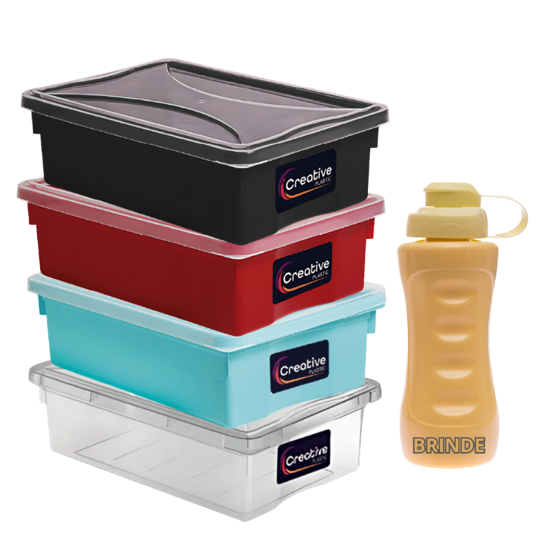 Caixa 11l Alimentos Churrasco Escritório Organização C/tpa Presidio em Oferta na Shopee