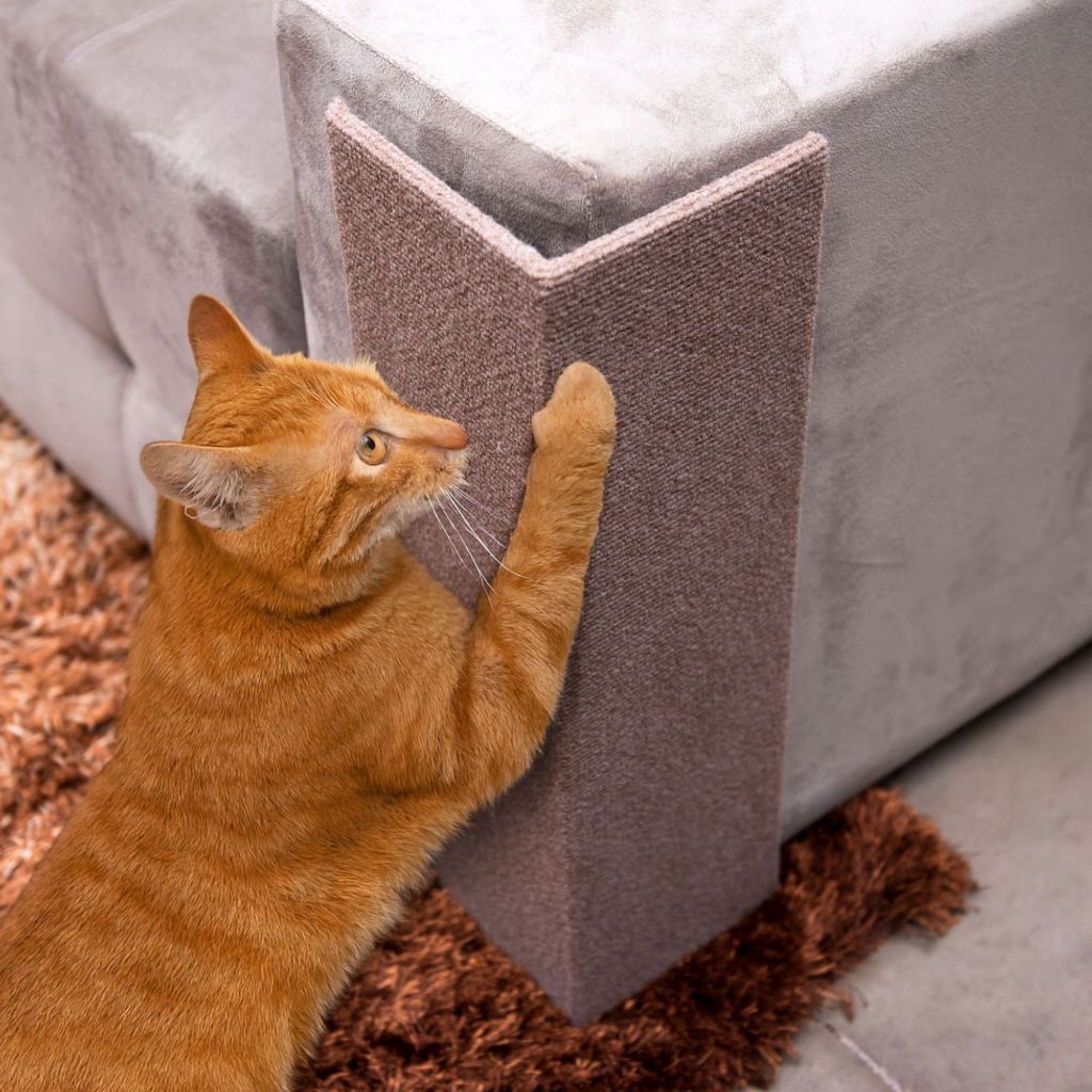 Arranhador Sofá Mesa de Canto para Gatos Protetor Carpete e Juta