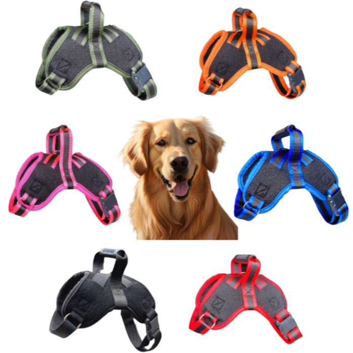 Peitoral Coleira Com Guia Para Cachorro Pequeno Médio Grande Porte Coleira Maleável Várias Raças em Oferta na Shopee