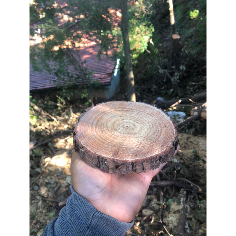 Lindas Bolachas de Madeira Rustica 10 a 20cm Diametro Ideal Para Decoração Enfeite Natal Mesas em Oferta na Shopee