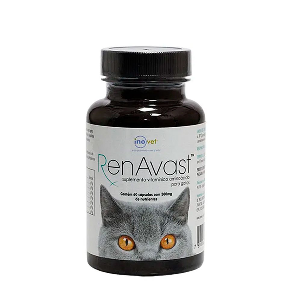 Suplemento RenAvast 300mg Para Gatos Inovet 60 Cápsulas em Oferta na Shopee