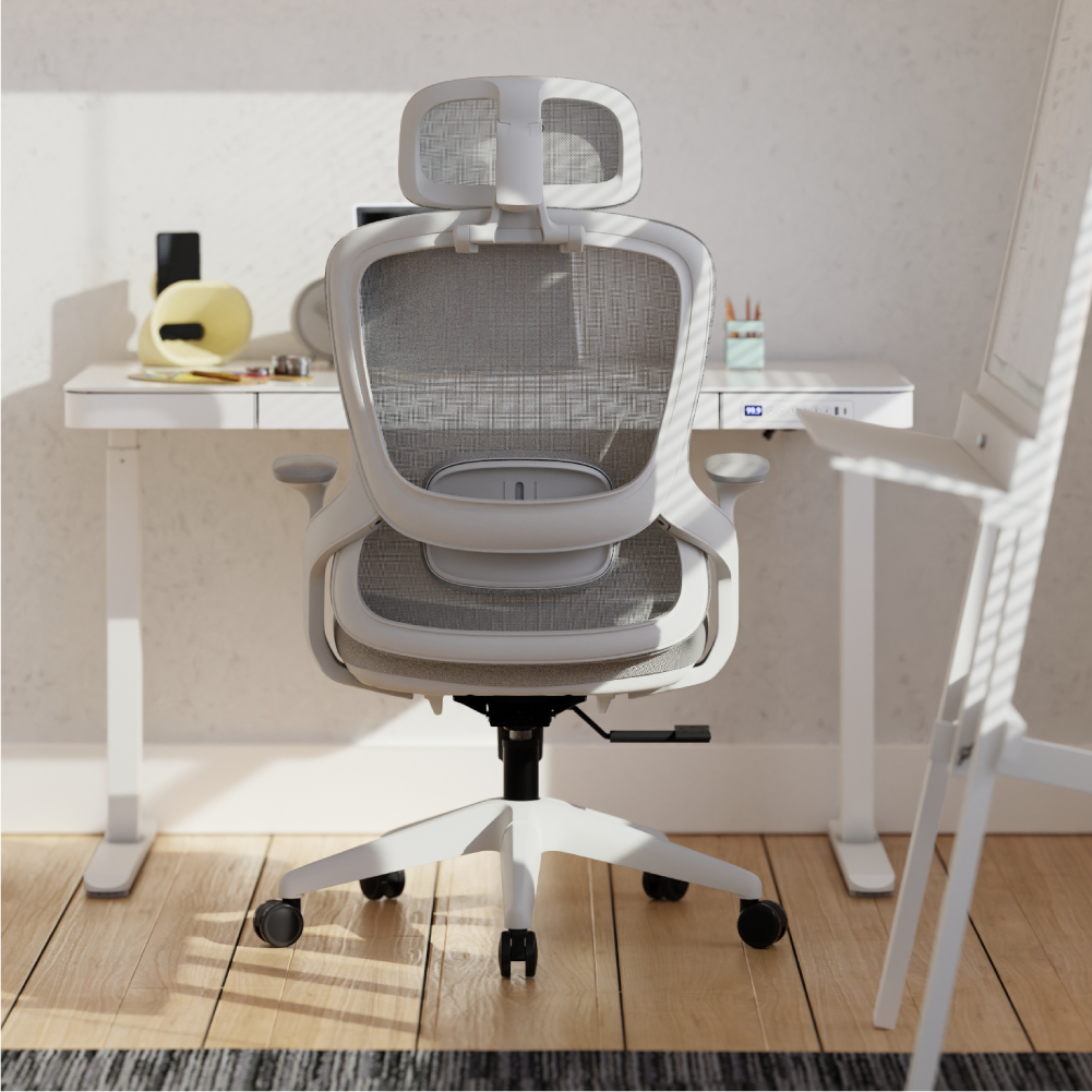 Cadeira Ergonômica Alásia com Estofamento Premium, Apoio Lombar e Reclino em Oferta na Shopee