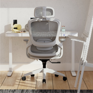 Cadeira Ergonômica Alásia com Estofamento Premium, Apoio Lombar e Reclino em Oferta na Shopee