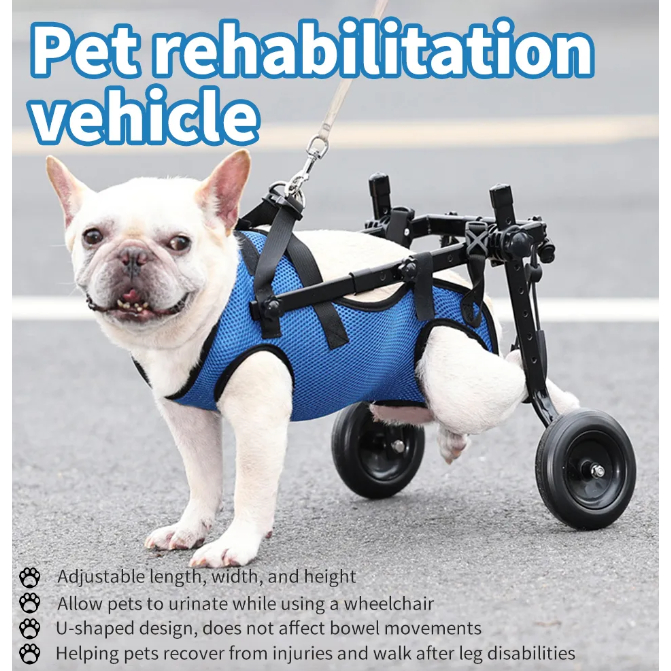 Cadeira de Rodas para Cães – Mobilidade e Qualidade de Vida (Tamanho XS, Azul)