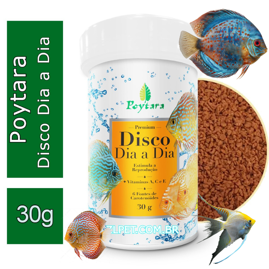 Raçao Para Peixes Poytara Disco Dia Dia 30g Ideal Para Disco E Bandeira