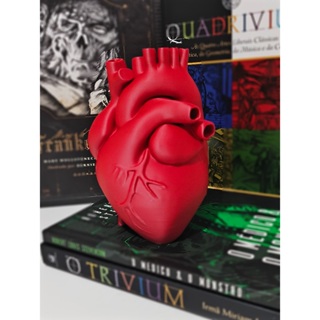 Coração Anatômico Decorativo em Oferta na Shopee