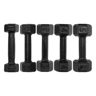 Halter Sextavado Pintado 1 a 5kg Dumbbell Peso de Academia Musculação Pesinho Treino Em Casa Fitness