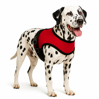 Peitoral com Guia Antipuxão para Cachorro Forte | Personalizado com Nome | Grande e Médio em Oferta na Shopee