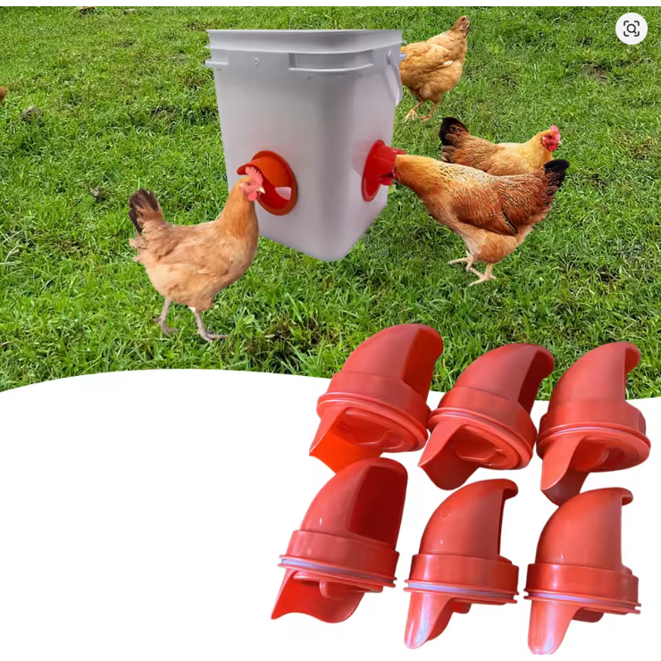 Comedouro Alimentador Automatico pra galinha frango pintinho codorna ração ave
