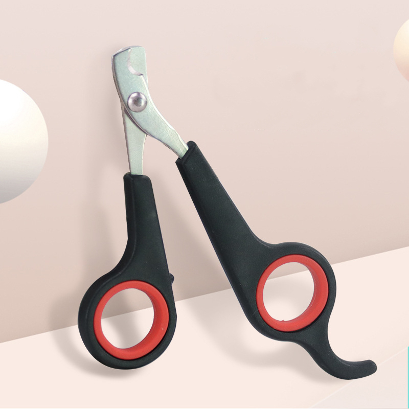 10 Peças Tesoura De Unha Pet  Profissional em Oferta na Shopee