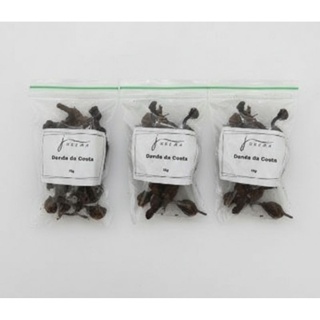 Dandá da Costa 15g cada kit 3, 4 ou 6 pcts | Banho Descarrego Forte, Proteção e Abre Caminhos em Oferta na Shopee