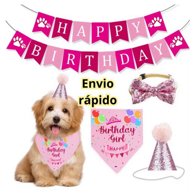 kit festa Pet animais de estimação aniversário completo cachorro gato pet porte grande e médio em Oferta na Shopee