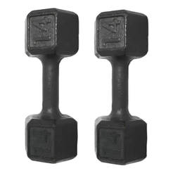 Halter Dumbell 14kg Sextavado Pintado Peso De Academia Para Treino Musculação
