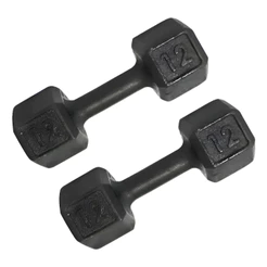 Halter Dumbell 12kg Sextavado Pintado Peso De Academia Para Treino Musculação