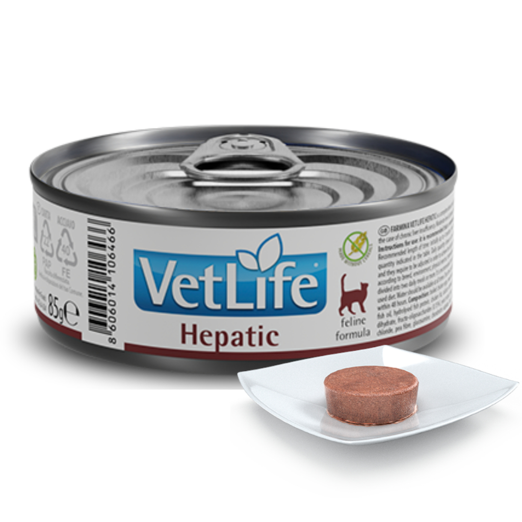 Ração Úmida Hepatic para Gatos: Onde Comprar | BuscaProdutos