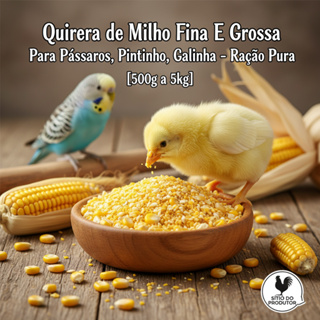 Quirera de Milho Fina e Grossa para Pássaros, Pintinho, Galinha – Ração Suplemento [500g a 5kg] em Oferta na Shopee