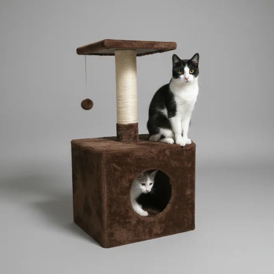 Casinha arranhador grande  para gatos caixa com banco