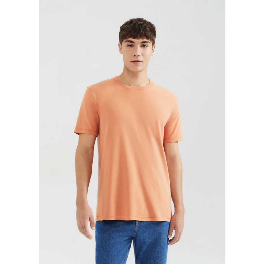 Camiseta Masculina (Tamanho P) Básica Lisa Em Malha Laranja HERING