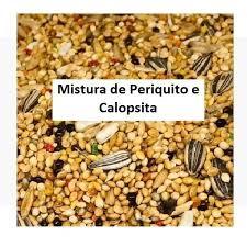 Periquito Red Rumped - Comprar com Melhor Preço em Acessórios para Animais de Estimação