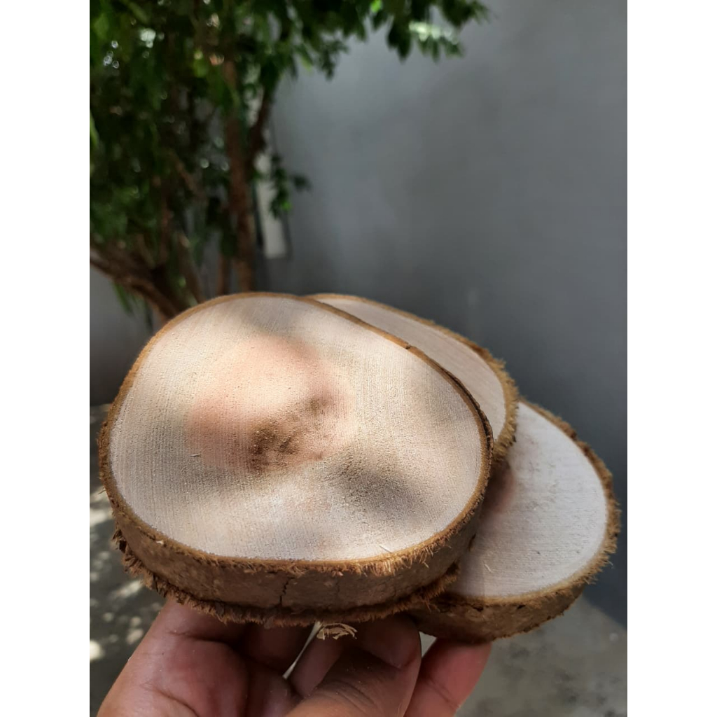 Kit com 40 Bolachas de Madeira Natural 7cm a 10cm | Decorativas, Artesanato, Casamento, DIY, Lembrancinha