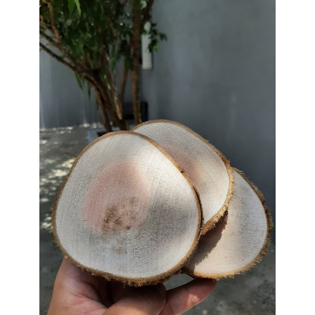 Kit com 25 Bolachas de Madeira Natural 7cm a 10cm | Decorativas, Artesanato, Casamento, DIY, Lembrancinha