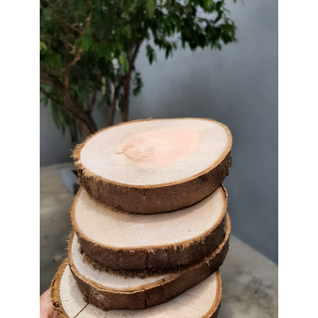 Kit com 5 Bolachas de Madeira Natural 7cm a 10cm | Decorativas, Artesanato, Casamento, DIY, Lembrancinha