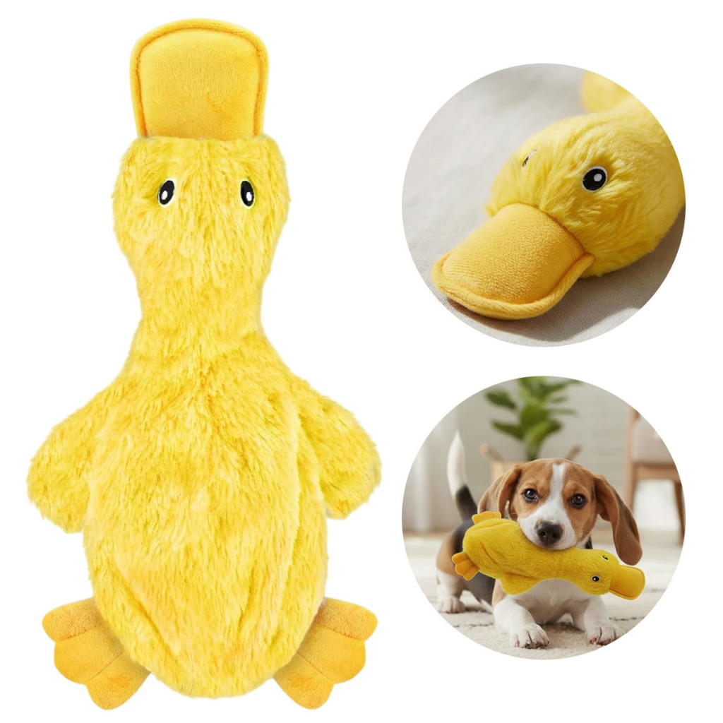 Pelúcia Pato Duck para Cães Apito e Crinkle Sem Enchimento, Macio e Durável | 2 cores | Importado