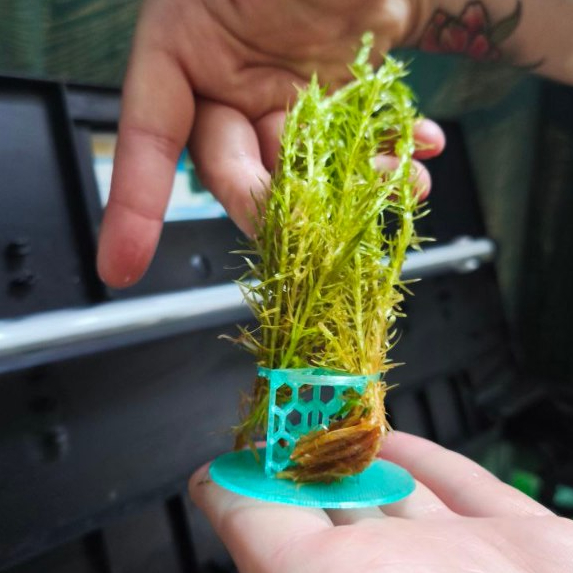 Kit 4 Fixadores de Plantas de Aquário - Base Anti-Flutuação Evita que as Plantas Soltem do Substrato