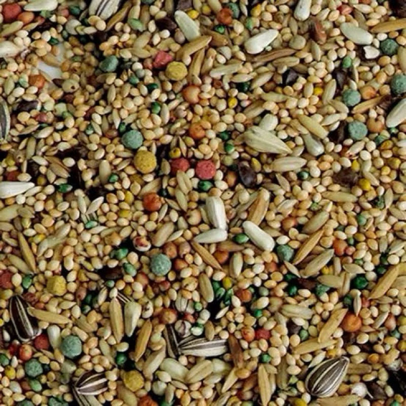 RAÇÃO SELETA PARA CALOPSITA PREMIUM 5KG