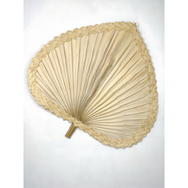 Leque para decoração palmeira